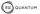 NuQuantum logo